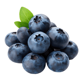 Blueberry