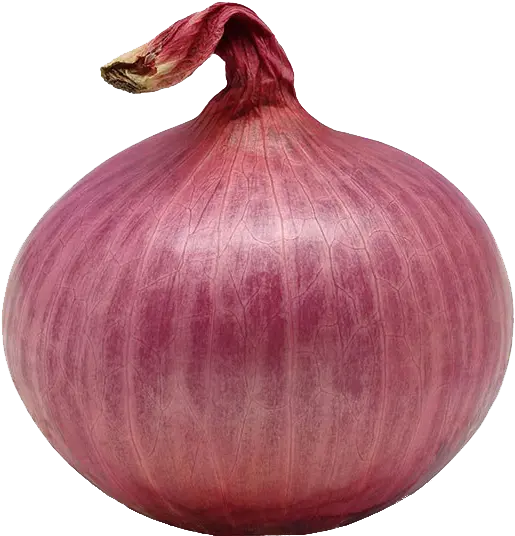 Onion