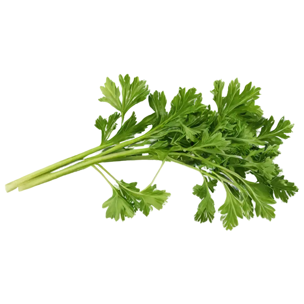 Fresh Mint