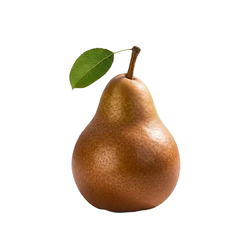 Belgique Pear