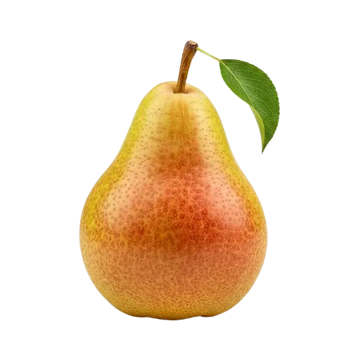 Portugal Pear