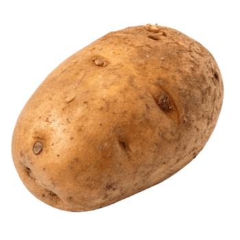 Potato