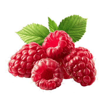 Raspberry