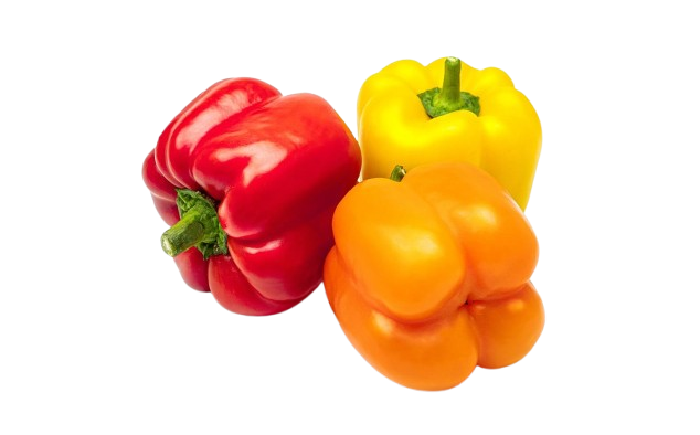 Pimiento morrón